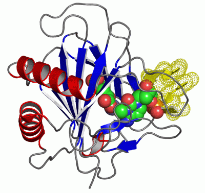 Image Asym./Biol. Unit - manually