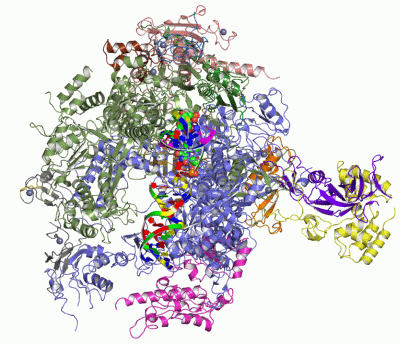 Image Asym./Biol. Unit - manually