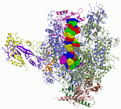 Image Asym./Biol. Unit - manually