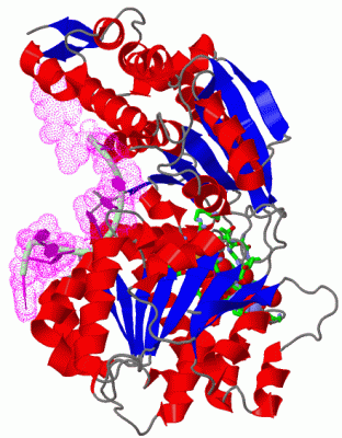 Image Asym./Biol. Unit - manually