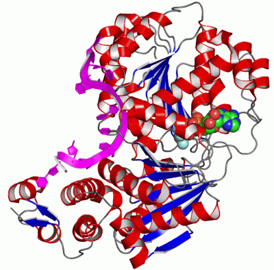 Image Asym./Biol. Unit - manually