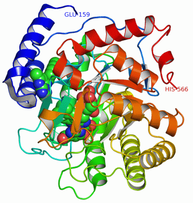 Image Asym./Biol. Unit - manually