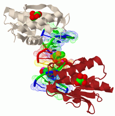 Image Biol.Unit 1 - manually