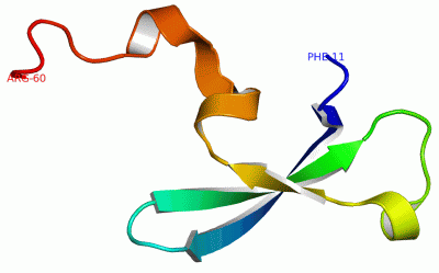 Image Asym./Biol. Unit - manually