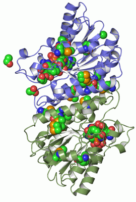 Image Asym./Biol. Unit - manually