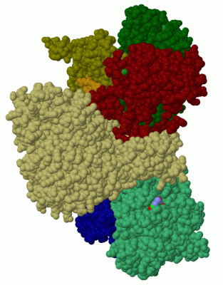 Image Biol.Unit 1 - manually