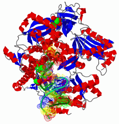 Image Asym./Biol. Unit - manually