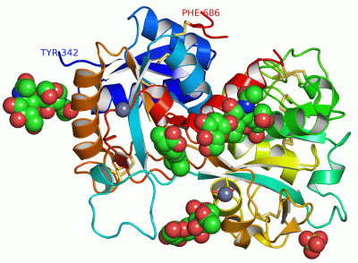 Image Asym./Biol. Unit - manually