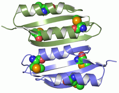 Image Asym./Biol. Unit - manually