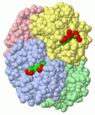 Image Biol.Unit 1 - manually