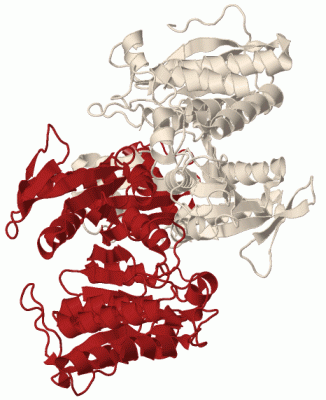 Image Biol.Unit 1 - manually