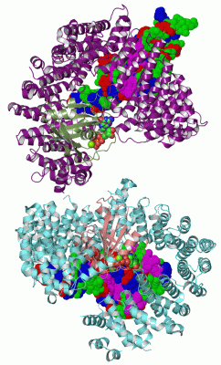 Image Biol.Unit 1 - manually