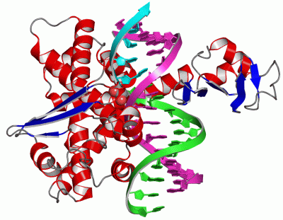 Image Asym./Biol. Unit - manually