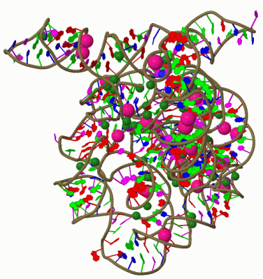 Image Asym./Biol. Unit - manually