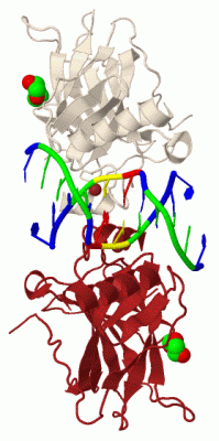 Image Biol.Unit 1 - manually