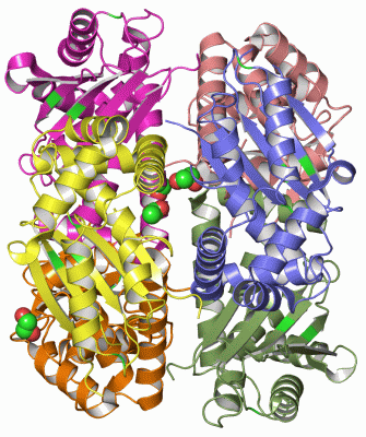 Image Asym./Biol. Unit - manually