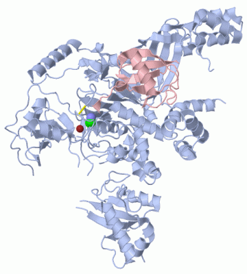 Image Biol.Unit 1 - manually