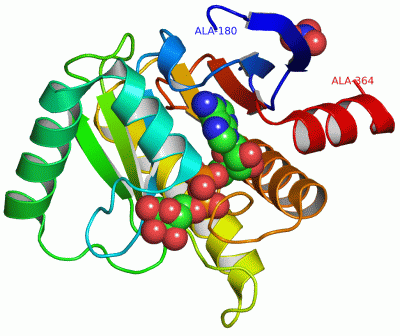 Image Asym./Biol. Unit - manually