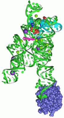 Image Asym./Biol. Unit - manually