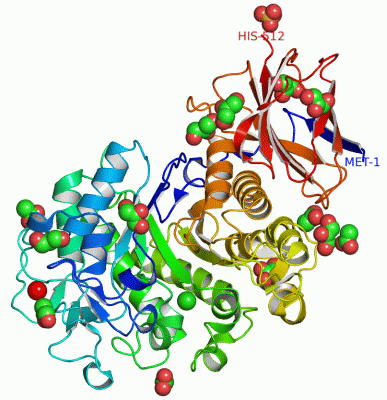 Image Asym./Biol. Unit - manually