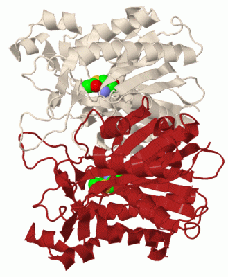 Image Biol.Unit 1 - manually