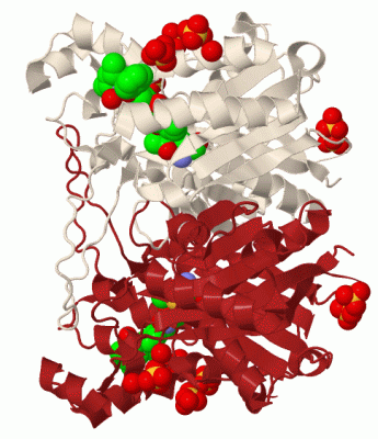 Image Biol.Unit 1 - manually