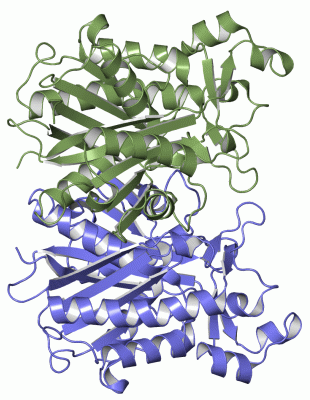 Image Asym./Biol. Unit - manually