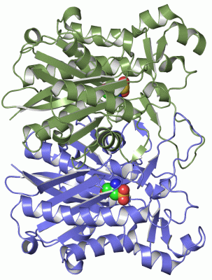 Image Asym./Biol. Unit - manually