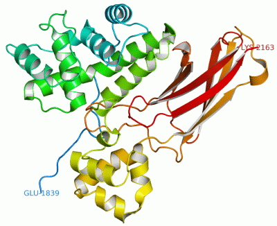 Image Asym./Biol. Unit - manually