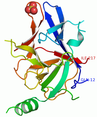 Image Asym./Biol. Unit - manually