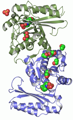 Image Biol.Unit 1 - manually