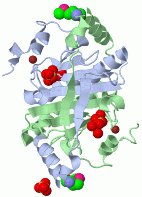 Image Biol.Unit 1 - manually