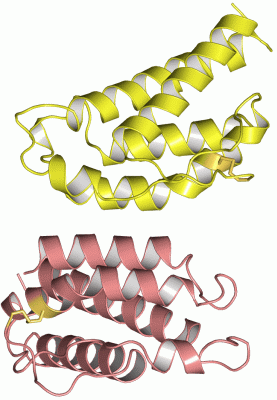 Image Asym./Biol. Unit - manually