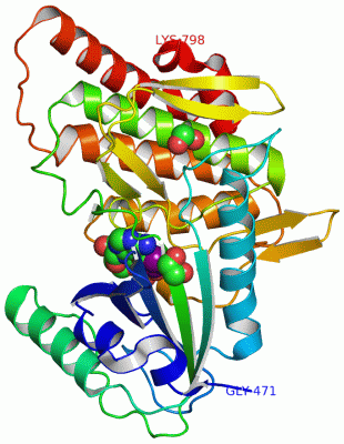 Image Asym./Biol. Unit - manually