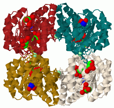 Image Biol.Unit 1 - manually