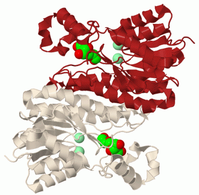 Image Biol.Unit 1 - manually