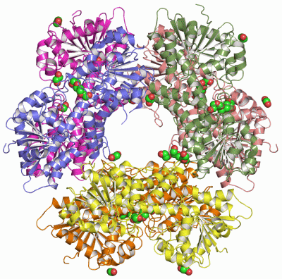 Image Asym./Biol. Unit - manually