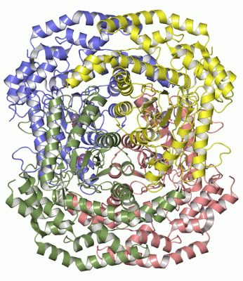 Image Asym./Biol. Unit - manually