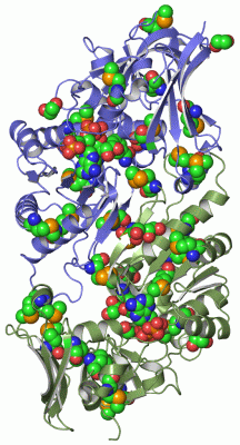 Image Asym./Biol. Unit - manually