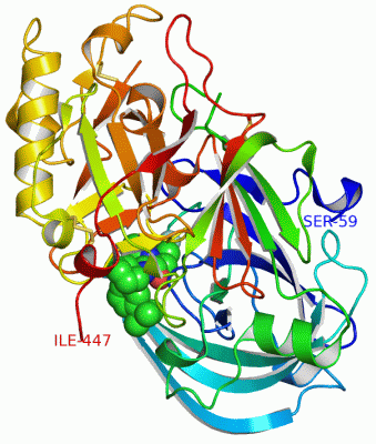 Image Asym./Biol. Unit - manually