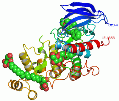 Image Asym./Biol. Unit - manually