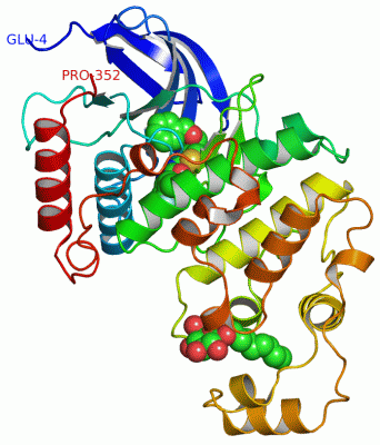 Image Asym./Biol. Unit - manually