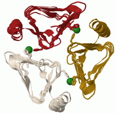 Image Biol.Unit 1 - manually