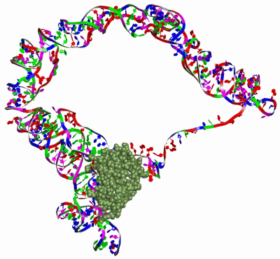 Image Asym./Biol. Unit - manually