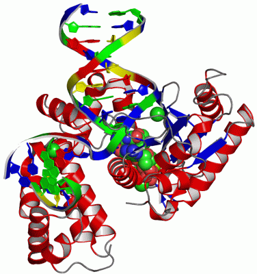 Image Asym./Biol. Unit - manually