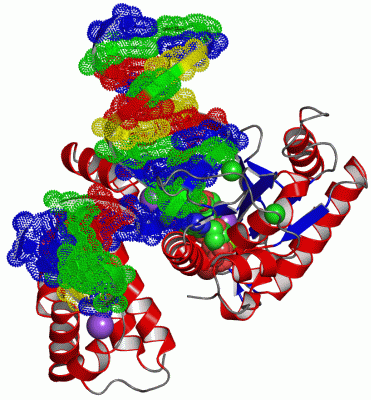 Image Asym./Biol. Unit - manually