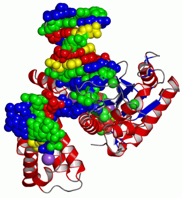 Image Asym./Biol. Unit - manually