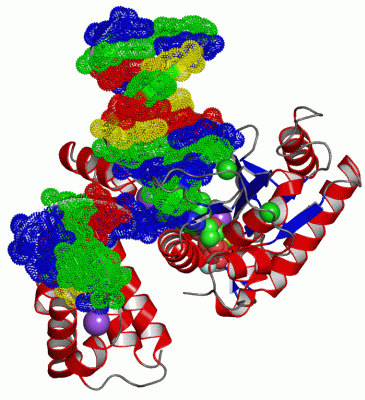 Image Asym./Biol. Unit - manually