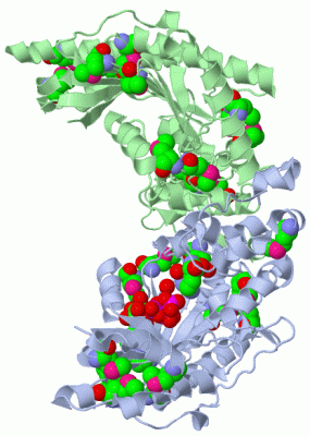 Image Biol.Unit 1 - manually