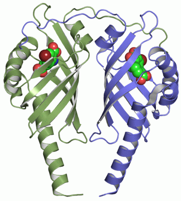 Image Asym./Biol. Unit - manually